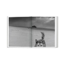 Load image into Gallery viewer, Arctic Heroes