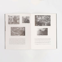 Load image into Gallery viewer, Jóhannes S. Kjarval, Lifandi land 1931–1945