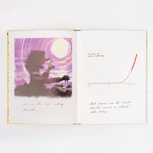 Load image into Gallery viewer, Egill Sæbjörnsson, When Egill Met the Trolls