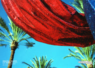 Hekla Dögg Jónsdóttir - Glitter and Palmtrees (plakat)